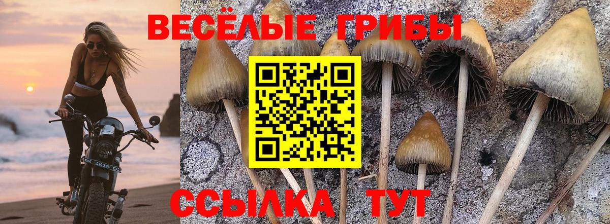 Псилоцибиновые грибы ЛСД Реутов